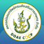 DOAE Saving icon