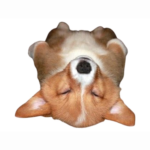 Swag Animal Stickers app icon