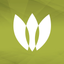 Watersprings icon