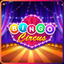 Bingo Bazaar icon
