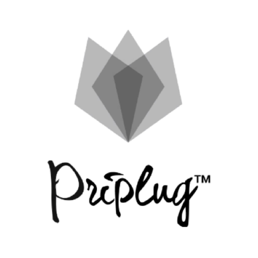 Priplug app icon