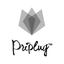 Priplug icon