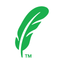 Green Feathers icon