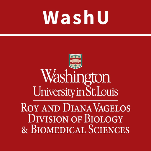 WashU DBBS app icon