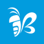 Beecar icon