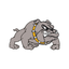 Van Buren R-1 School District icon