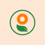 Grosav icon