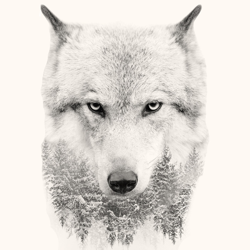 Wolf Backgrounds HD app icon