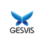 GESVIS icon