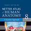 Human Anatomy Atlas + icon