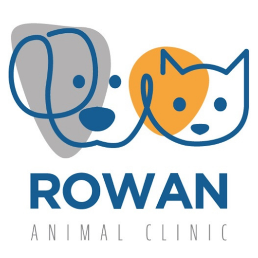 Rowan Animal Clinic app icon