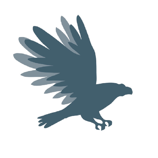 RoyalCashflow app icon