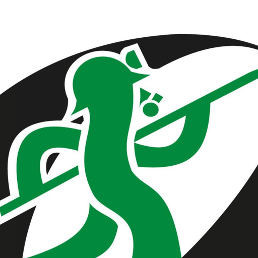 Seguridad Minera app icon