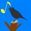 KvittraXC icon