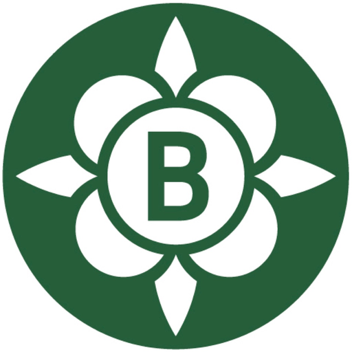 Barefoot app icon