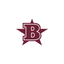 Benton High School, IL icon