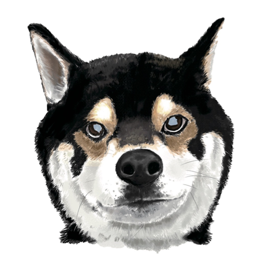 Ponzul (ポンズール) app icon