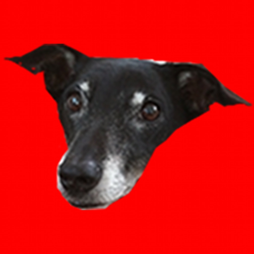 Floyds Adventures app icon