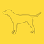 DogYears - A Pet Age Converter icon