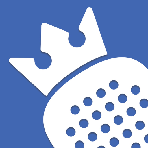 Padel Ranking app icon