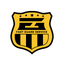 FastGuard icon