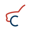 Carmension icon