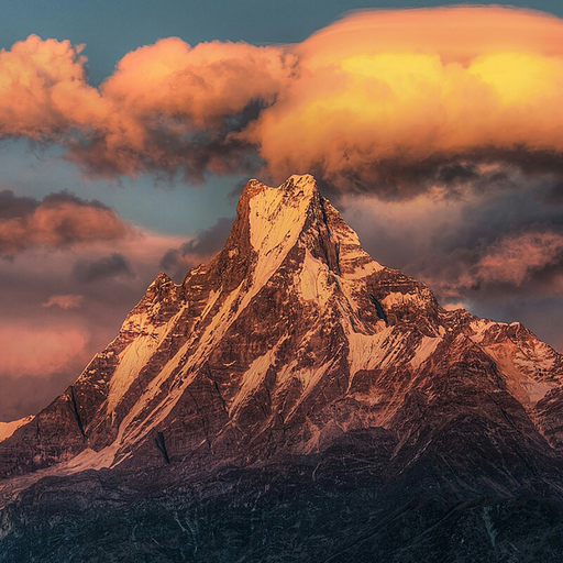 Nature Backgrounds & Images app icon