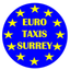 Euro Taxis. icon