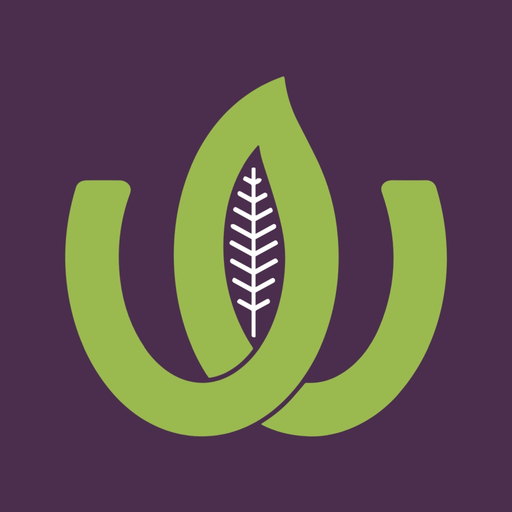 Wasserman Supermarket app icon