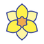 Daffodil Race icon