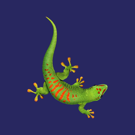 Bostik Pro app icon