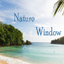 Nature Window icon