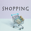 Shopping List icon