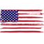 US Citizenship Test 2026 * icon