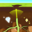 Crazy Plant icon