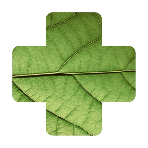 Plant Disease Identifier. app icon