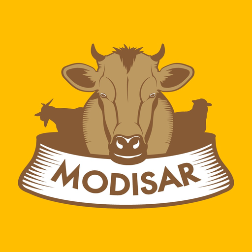 Modisar app icon