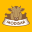 Modisar icon