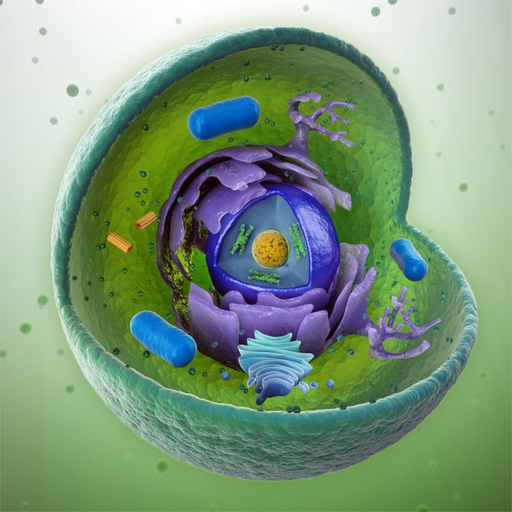 Learn Histology app icon