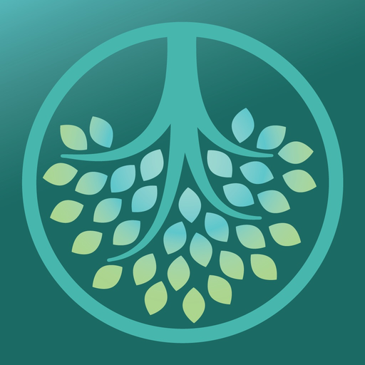Heron Derivation Dictionary app icon