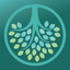 Heron Derivation Dictionary icon
