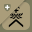 Insignia icon