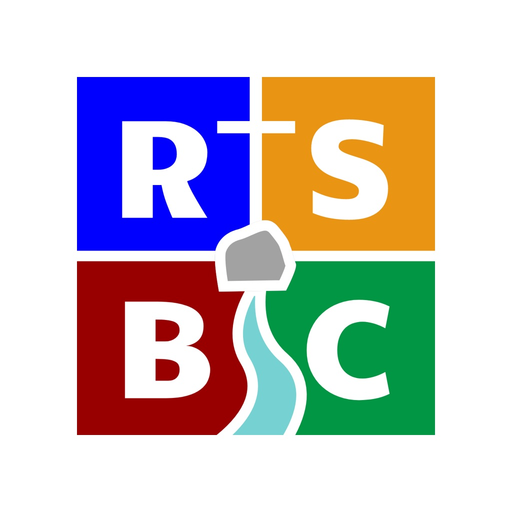 Rock Spring Baptist Church app icon