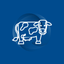Semper Leite icon