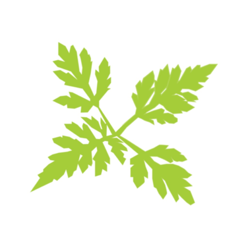 Parlagfu Bejelento Rendszer app icon