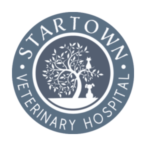 Startown Veterinary Hospital app icon