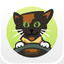 Food Truckalico icon
