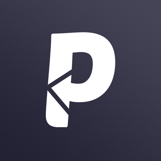 Payback Balance Tracker app icon