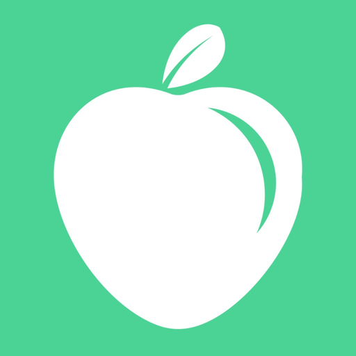 DietSystem para pacientes app icon
