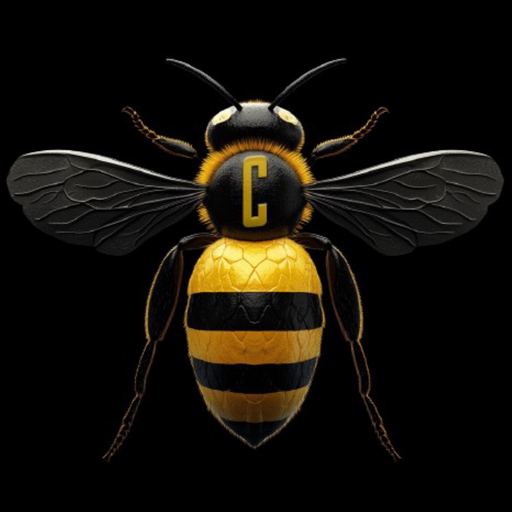 Cristian TNBE app icon